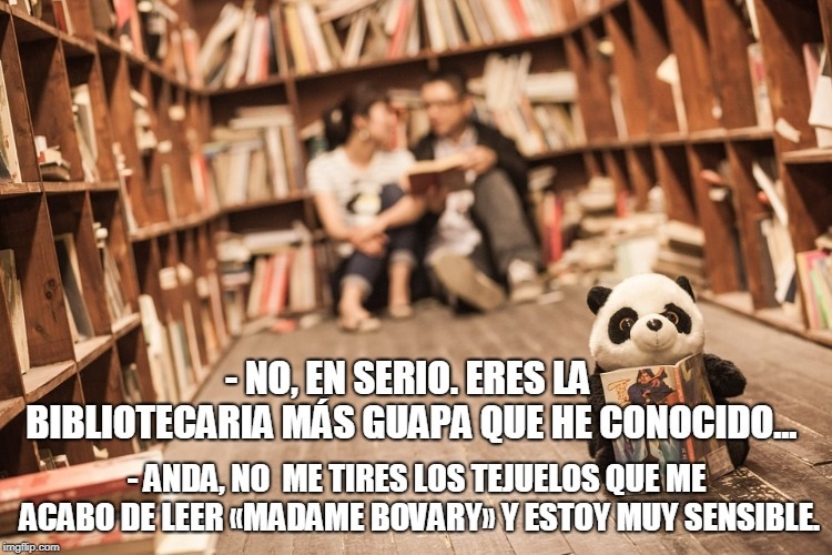 #MemeBibliotecario 19 octubre 2018
